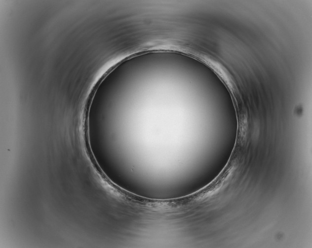 X0000097951149200804070958