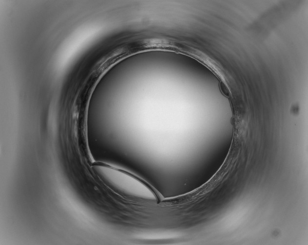 X0000097951151200804070958