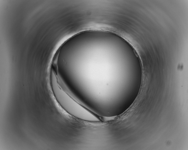 X0000097951152200804070958