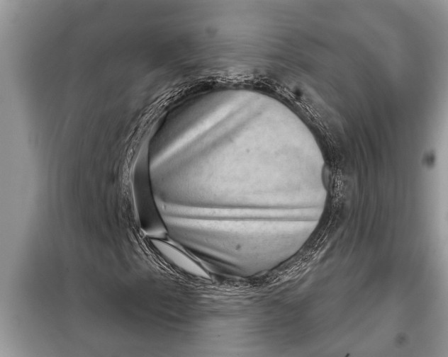 X0000097951153200804070957