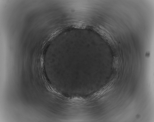 X0000097951154200804070957