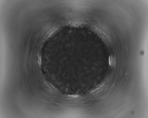 X0000097951155200804070957