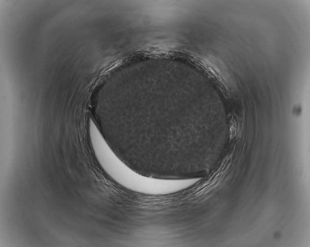 X0000097951156200804070957