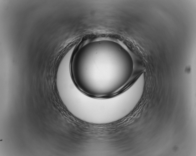 X0000097951157200804070957