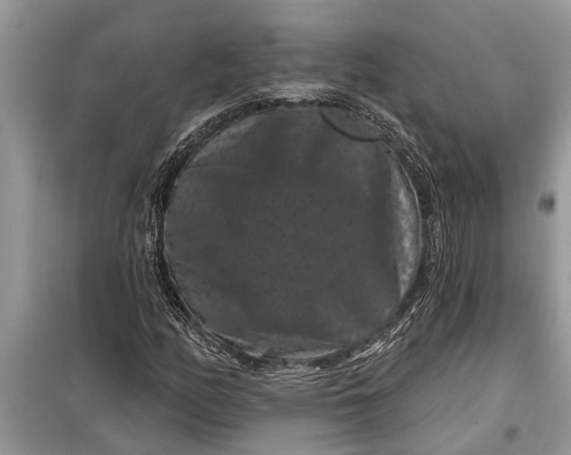 X0000097951158200804070957