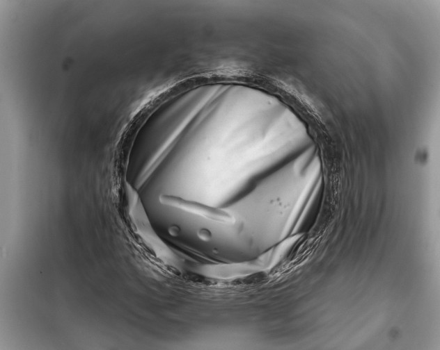 X0000097951160200804070957