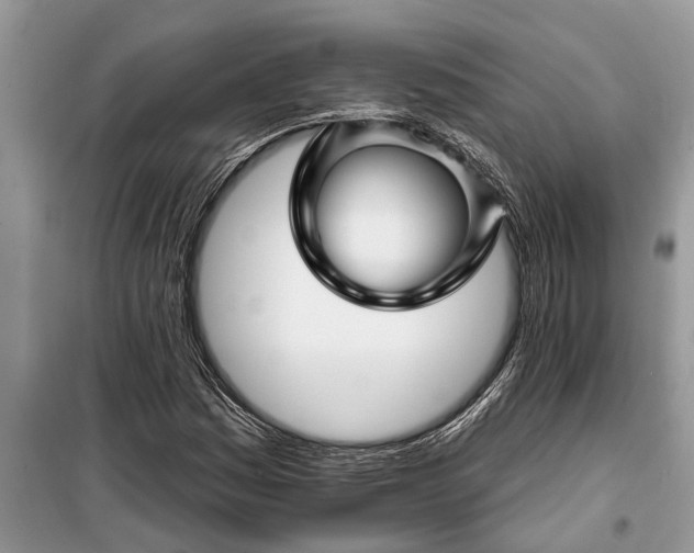X0000097951161200804070957
