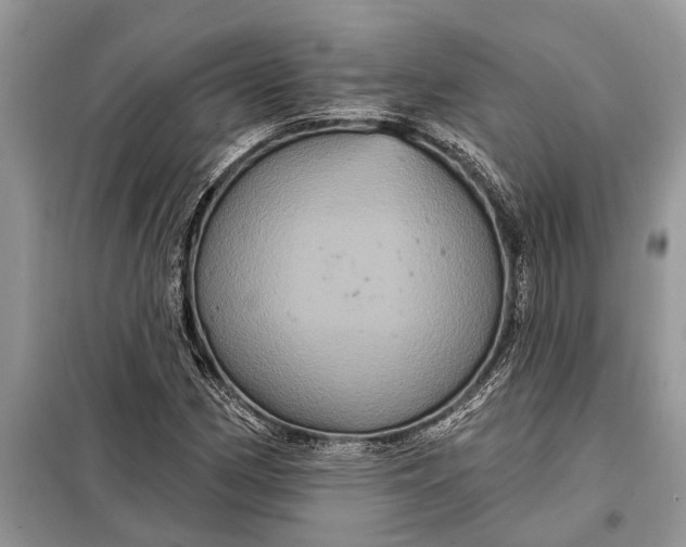 X0000097951162200804070957