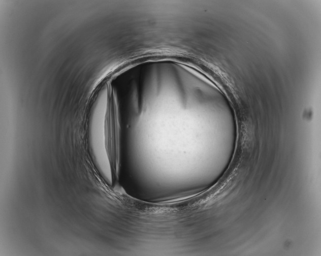 X0000097951163200804070957