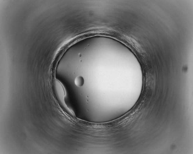 X0000097951164200804070957