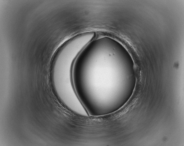 X0000097951165200804070957