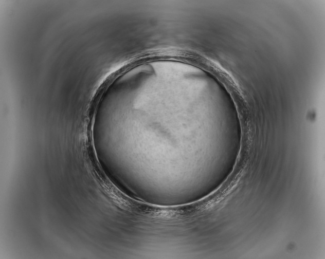X0000097951166200804070957