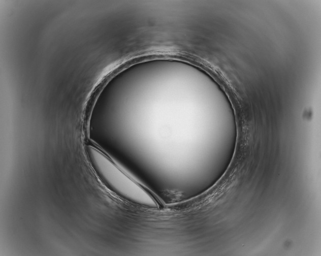 X0000097951168200804070957