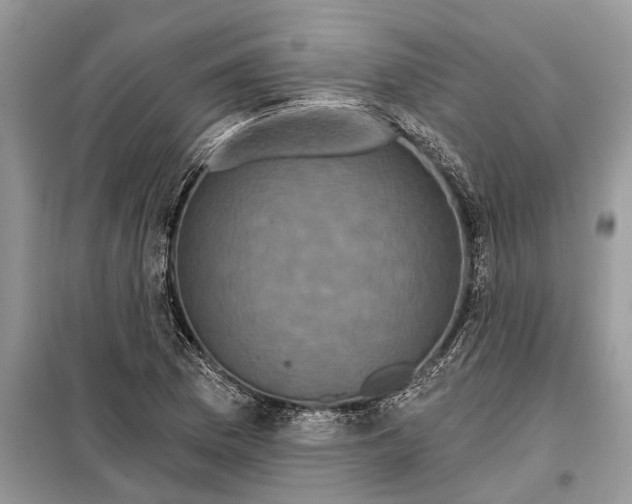 X0000097951169200804070957
