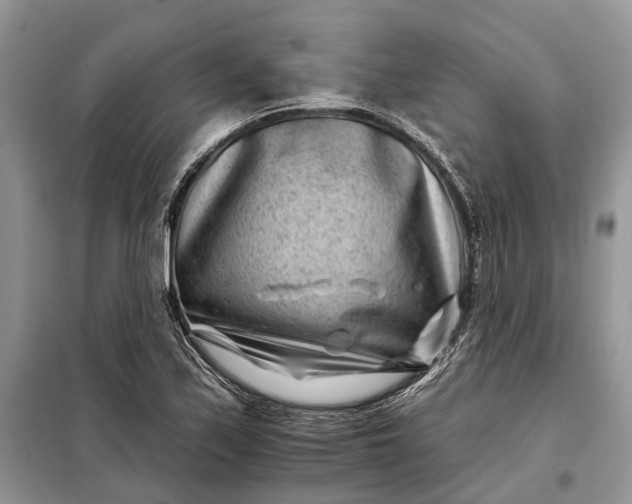 X0000097951171200804070957