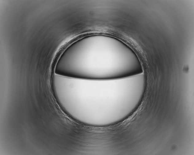 X0000097951172200804070957