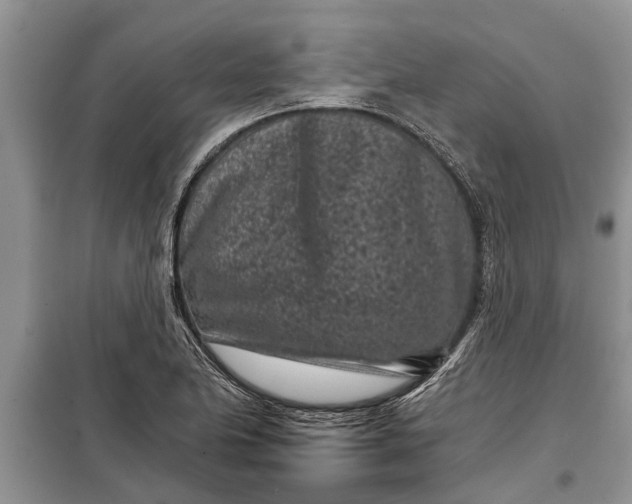 X0000097951174200804070957