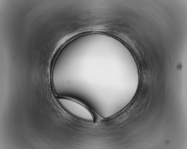 X0000097951176200804070957