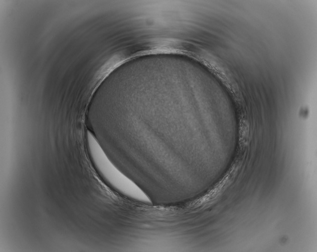 X0000097951177200804070957