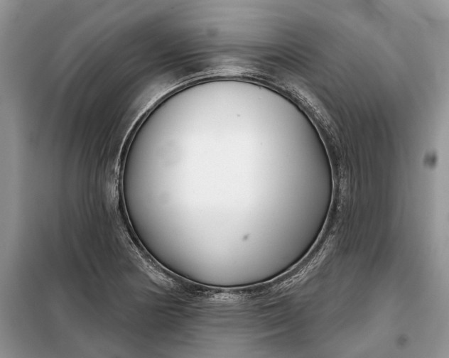 X0000097951178200804070957