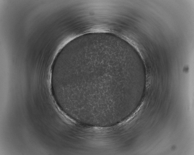 X0000097951179200804070957