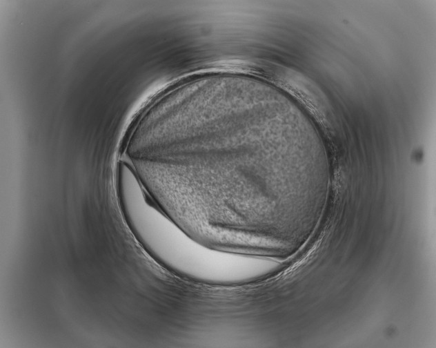 X0000097951180200804070957
