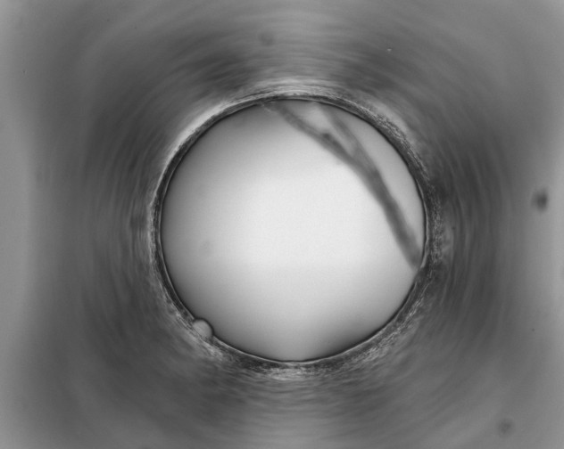 X0000097951182200804070957