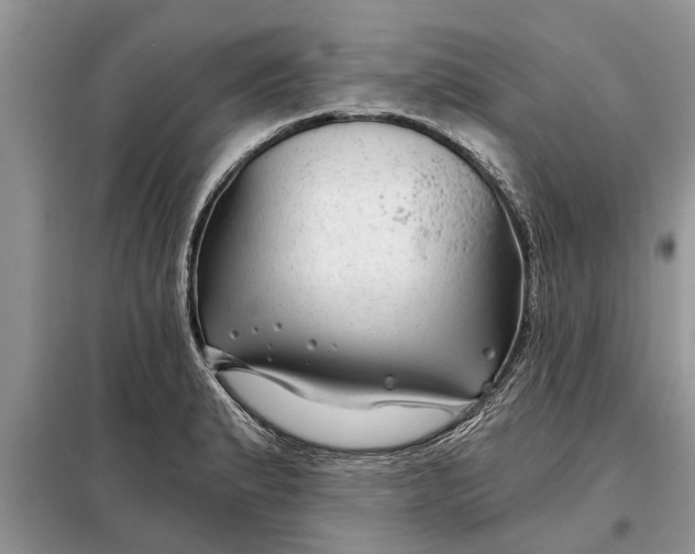 X0000097951183200804070957