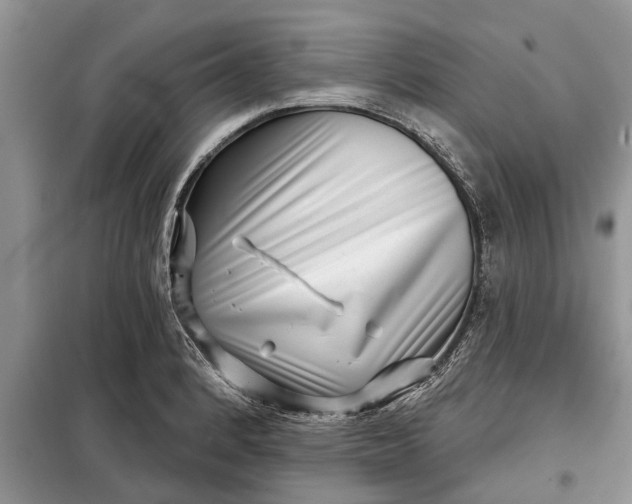 X0000097951184200804070957