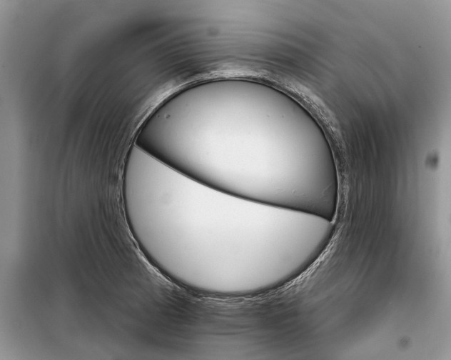 X0000097951185200804070957