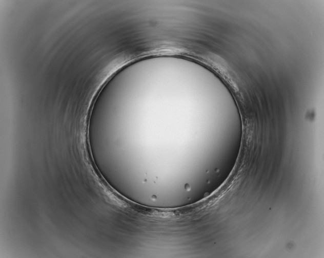 X0000097951186200804070957