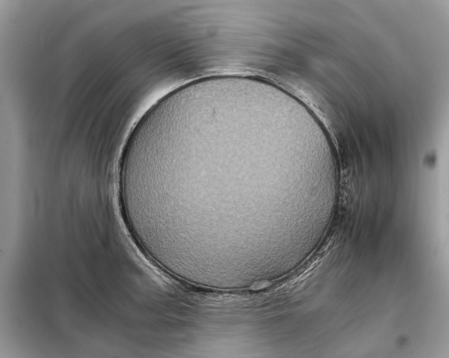 X0000097951187200804070957
