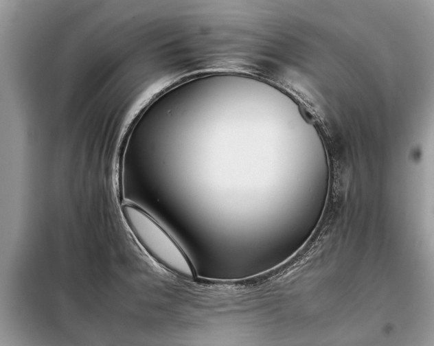X0000097951188200804070957