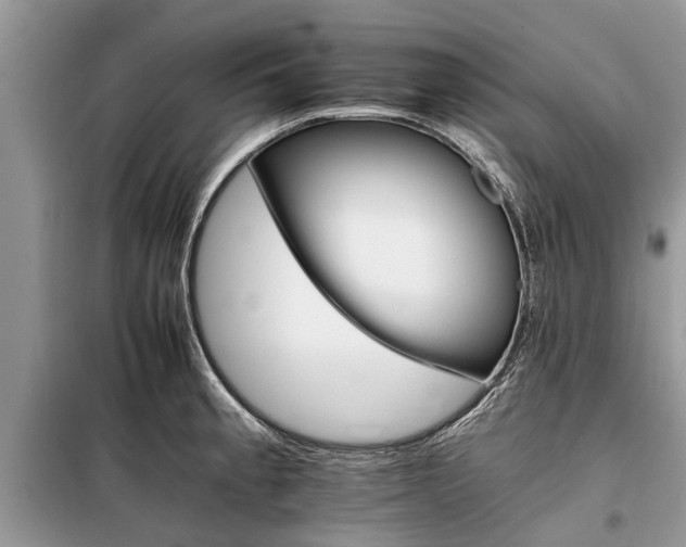 X0000097951189200804070957