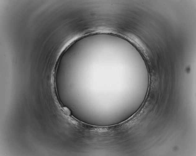 X0000097951190200804070957