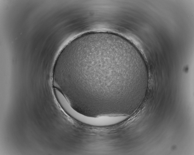 X0000097951191200804070957