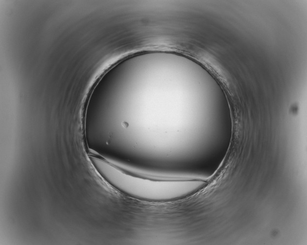 X0000097951192200804070957
