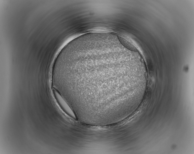 X0000097951195200804070957