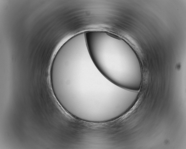 X0000097951196200804070957