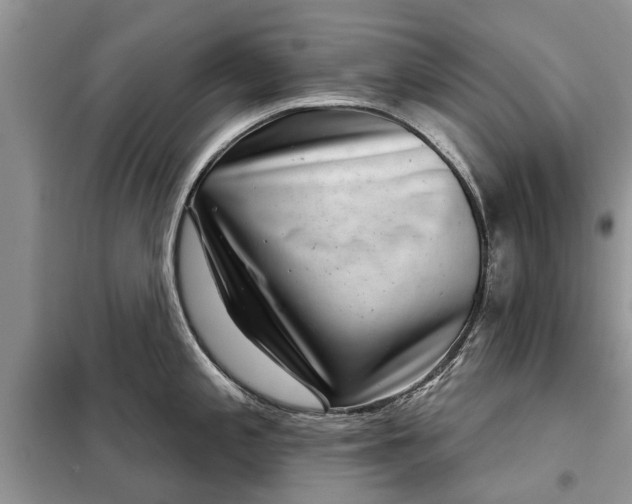 X0000097951197200804070957