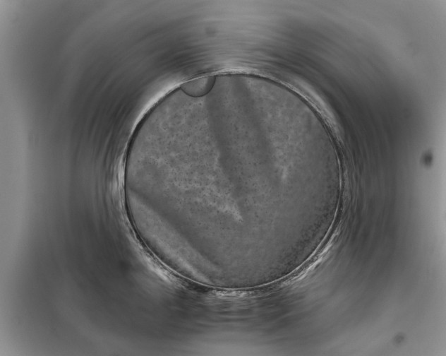 X0000097951198200804070957