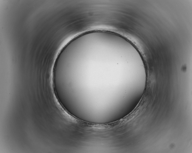 X0000097951199200804070957