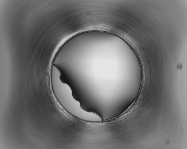 X0000097951200200804070957