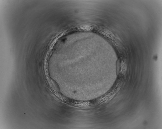 X0000097951201200804070956