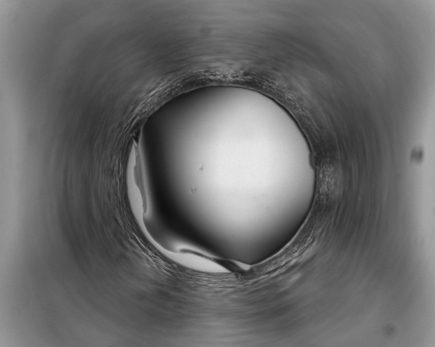 X0000097951202200804070956