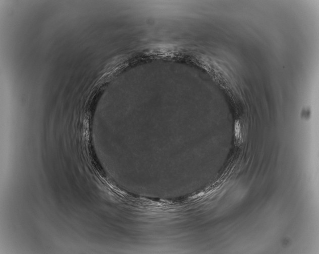 X0000097951203200804070956