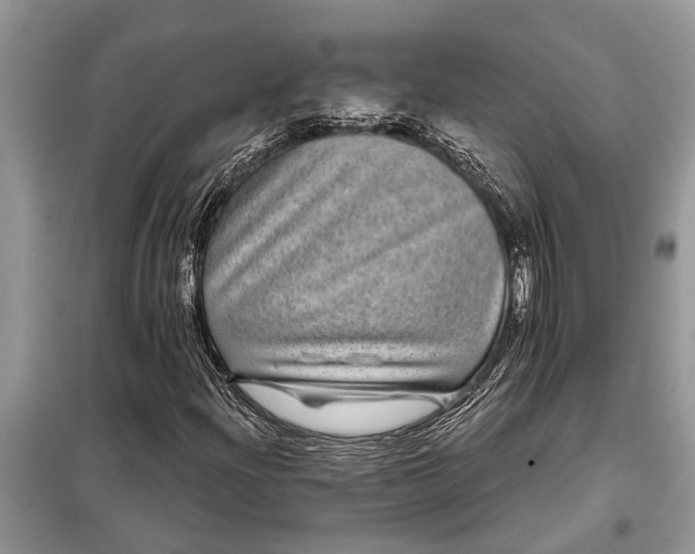 X0000097951204200804070956