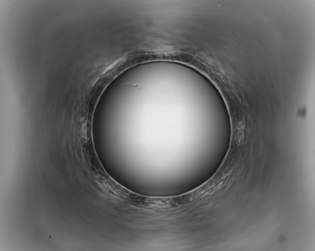X0000097951205200804070956