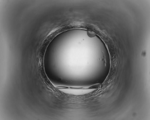 X0000097951206200804070956