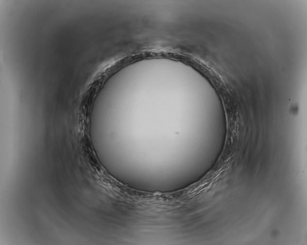 X0000097951207200804070956